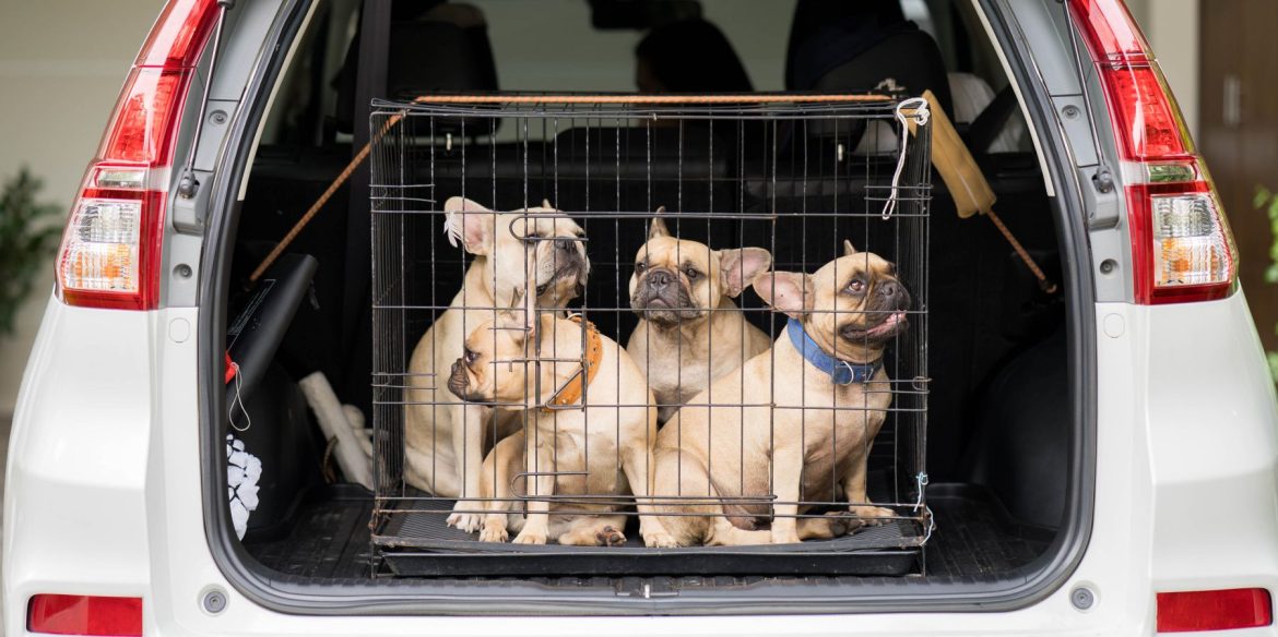 MAKE PERFECT RESTAURANT QUALITY OMELETTES AT HOME